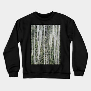 Trees in Marysville Crewneck Sweatshirt